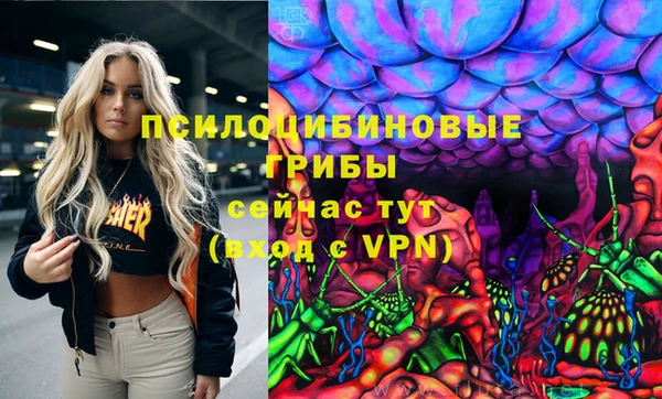 эйфоретик Богородск