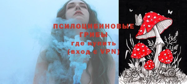 гидропоника Богородицк