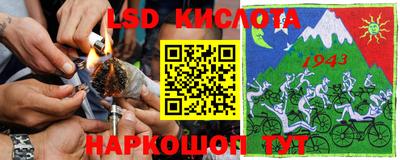 ECSTASY Кимры