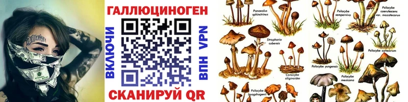Псилоцибиновые грибы ЛСД  Дальнегорск 
