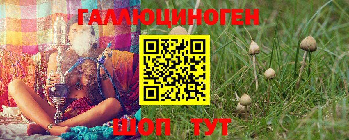 Дальнегорск  Галлюциногенные грибы прущие грибы  Вход с VPN 