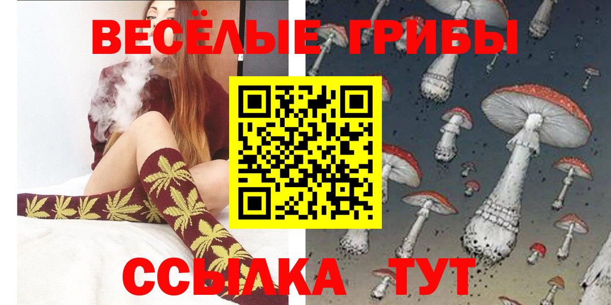 Галлюциногенные грибы GOLDEN TEACHER Дальнегорск
